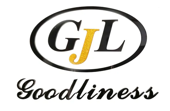 Hot Sale Fashion Diamond Horseshoe Collarbone Chain Necklace for Women 